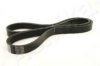 ASHIKA 112-5PK1065 V-Ribbed Belts